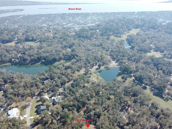 865 Oak Forest Dr NE, Townsend, GA 31331