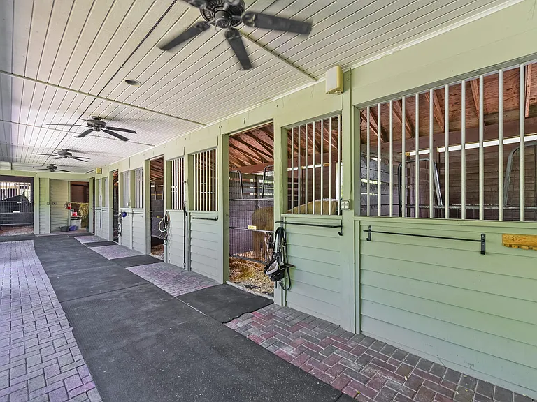 2040 Appaloosa Trl — Photo 9