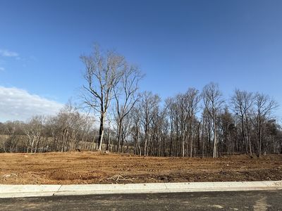 5712 Nola Dr Lot 1507, Arrington, TN, 37014
