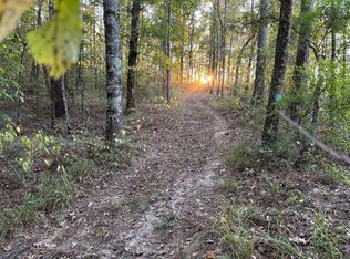 1 Simpson Rd, Pickens, MS 39146