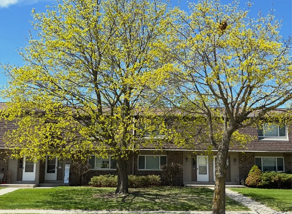 3 bed, 2.5 bath, 1300 sqft, $1,950 — Photo 3