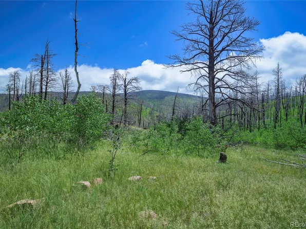 1185 Bechtel Place, Fort Garland, CO 81133