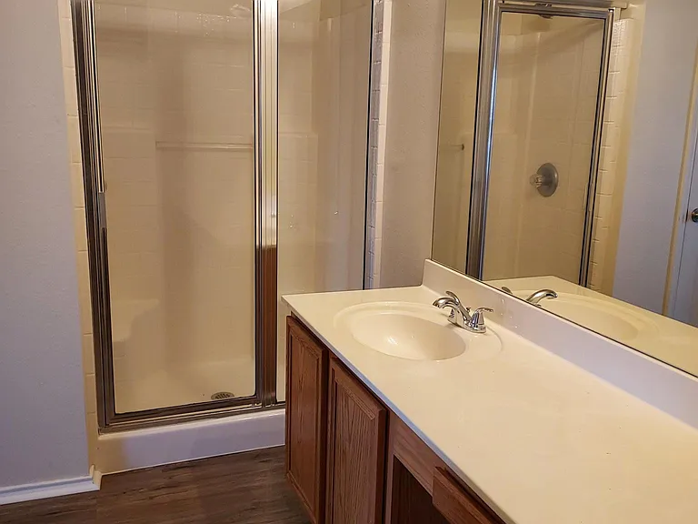 Master bath shower