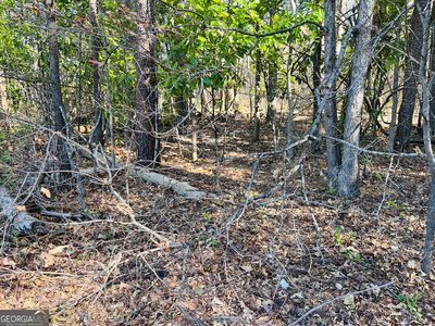 0 Black Mountain Rd, Toccoa, GA, 30577