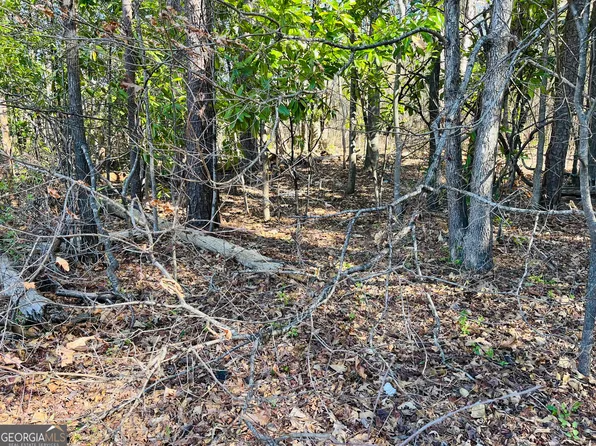 0 Black Mountain Rd, Toccoa, GA 30577