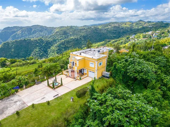 (undisclosed Address), BARRANQUITAS, PR 00794