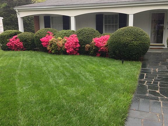 2nd image of 3118 Tomaranne Dr