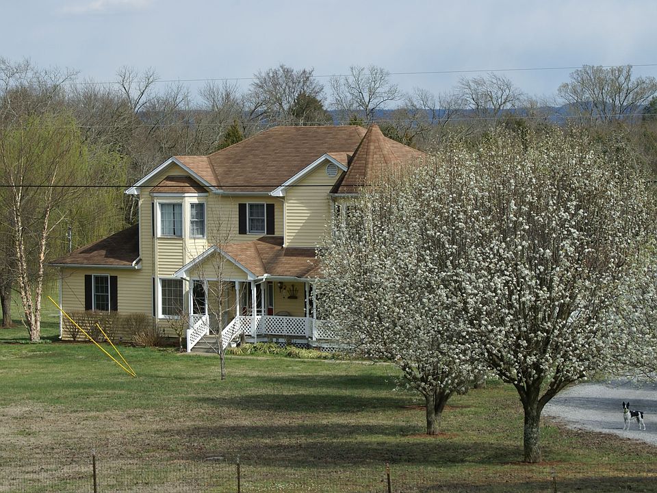 View from the road