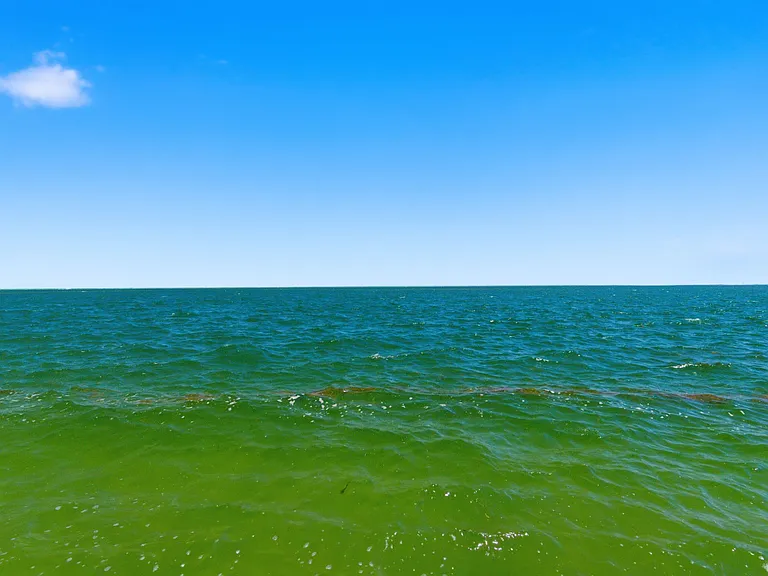 4778 Coquina Key Dr SE — Photo 44