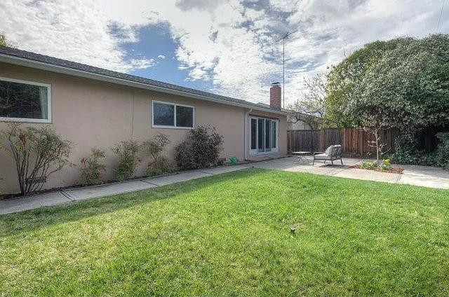 Back yard