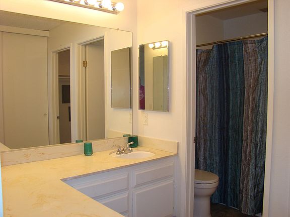 Master Bath and Vanity with walk-in closet and wall closet