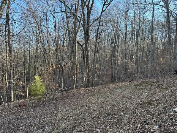 9 Blueberry Ln #3, Hardy, VA 24101