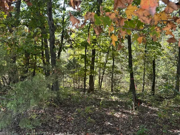 LOT 36 Sterling Ridge Dr, Holts Summit, MO 65043