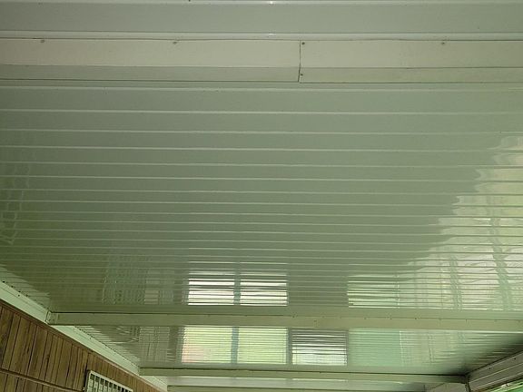 4th image of 1303 Daphne Ave