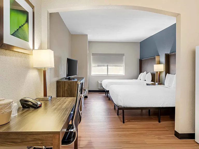 Studio Suite - 2 Full Beds