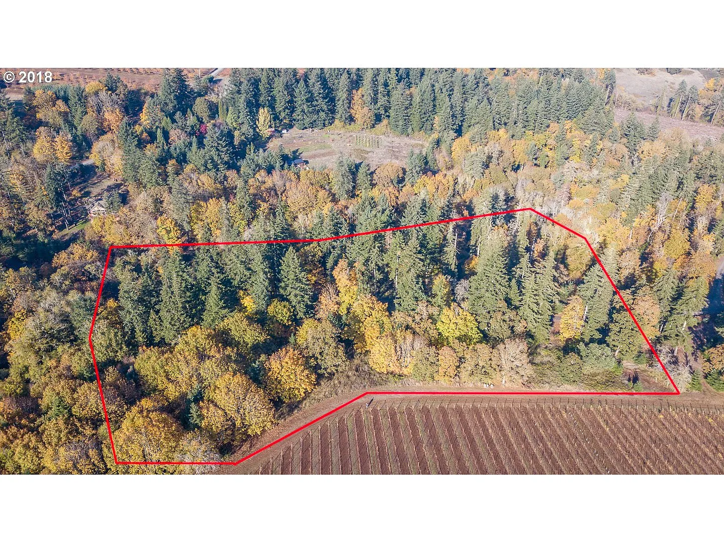 0 Mathews Creek Ln photo 1