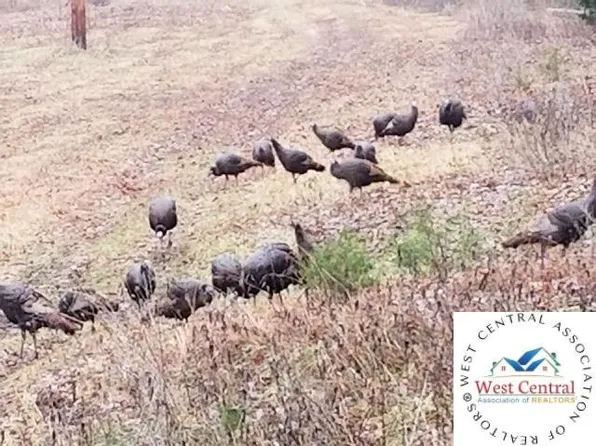 Big Rock Rd, Barnett, MO 65011