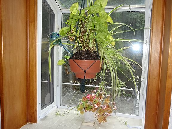 Kitchen Garden Window
