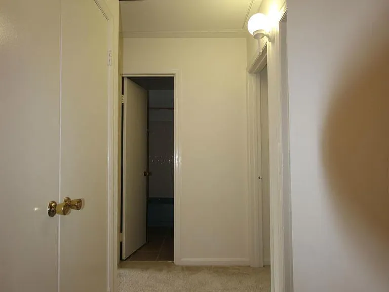 3722 Persimmon Cir — Photo 13