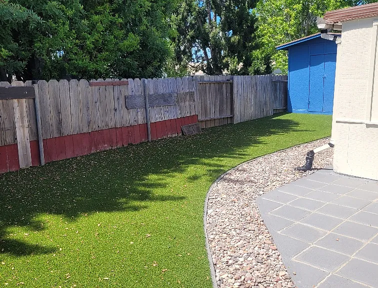 Recent upgrades to back yard