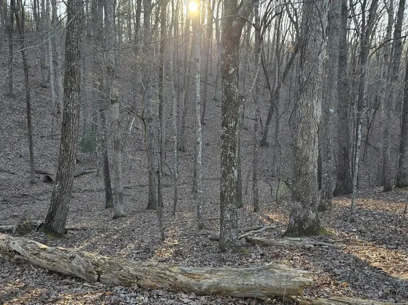 119 Pineridge Loop, Crossville, TN 38558