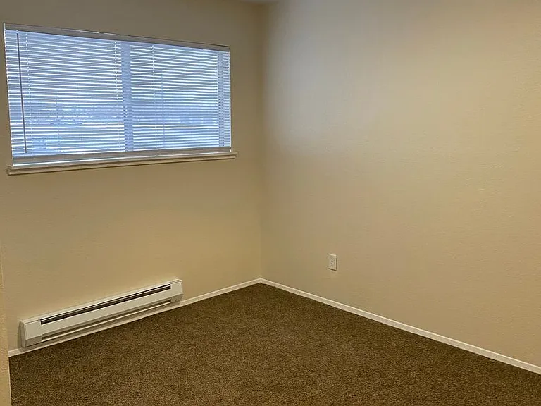 335 Cedar St — Photo 6