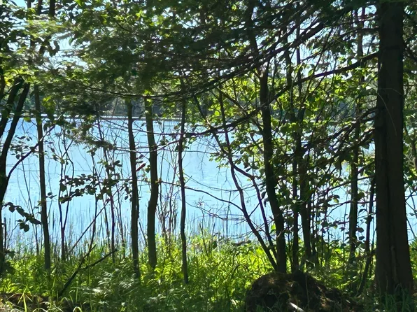 S Wegwas Dr, Trout Lake, MI 49793
