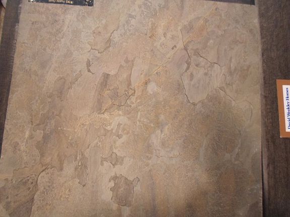 David Weekley Homes Inventory Photo