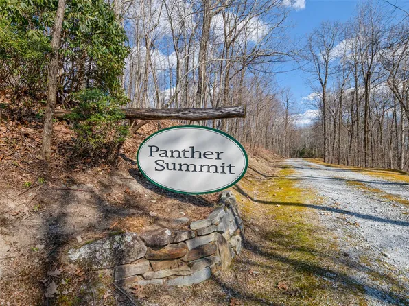 Ps 4 Panther Summit Dr, Lake Toxaway, NC 28747