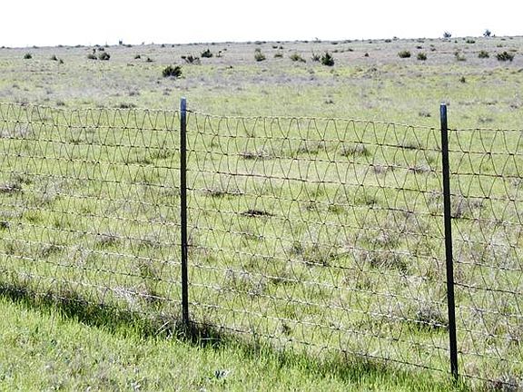 4th image of 299 County Road 2113