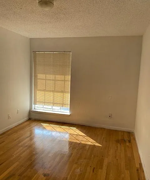 1223 Garden Path Dr — Photo 6