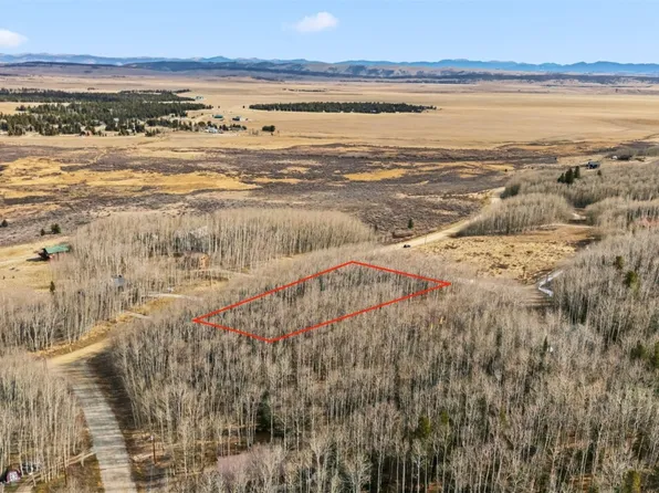 1133 High Creek Rd, Fairplay, CO 80440