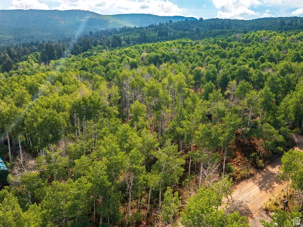 2919 S Green Briar Way, Heber, UT 84032