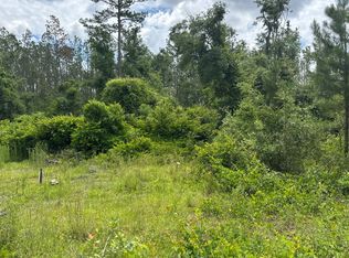 175th Dr LOT 17, Live Oak, FL 32060