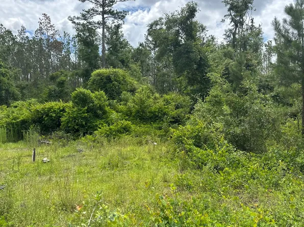 175th Dr Lot 17, Live Oak, FL 32060