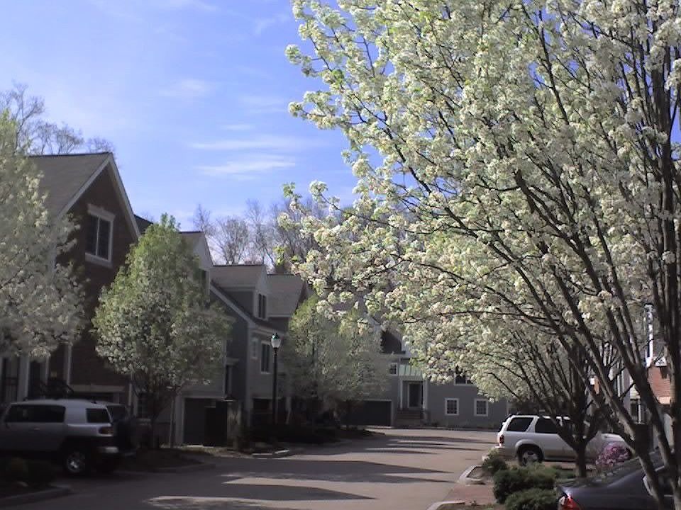 townhome main "street"