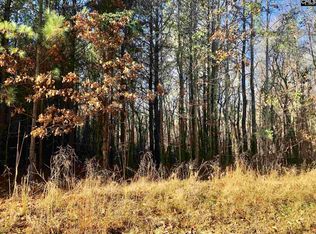 Old Charleston Rd, Ward, SC 29166