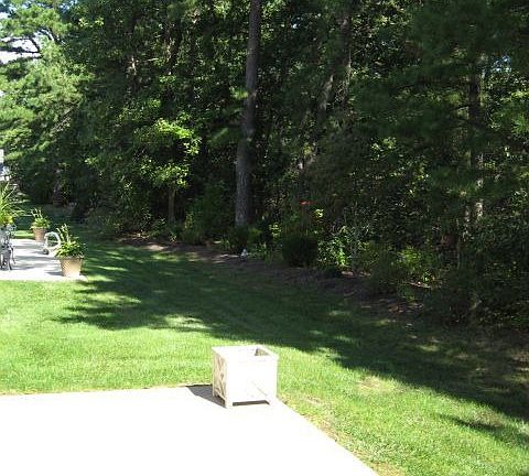 Patio showing woods behind home