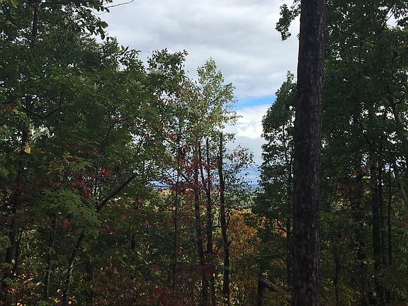 5th image of Scenic Woods Way