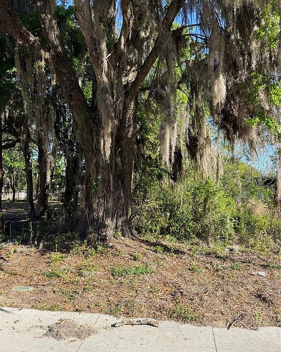 2nd image of SW 3rd St Lot 100