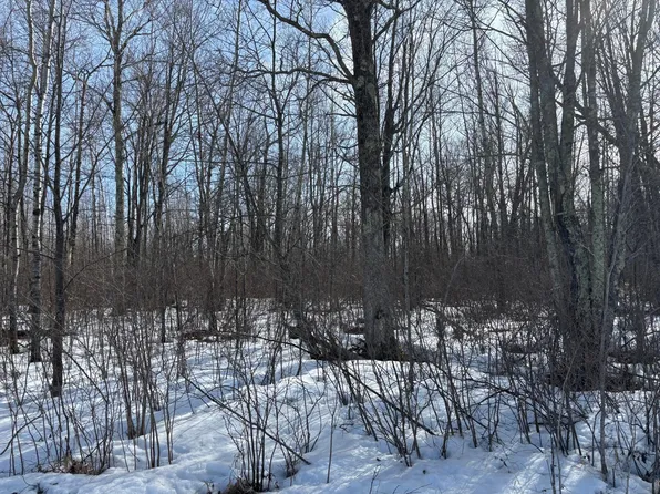 Erickson Rd, Kettle River, MN 55757