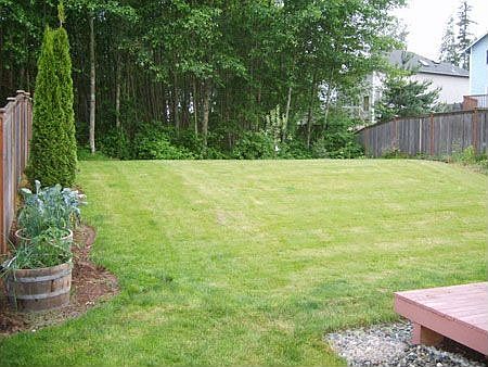 Nice backyard