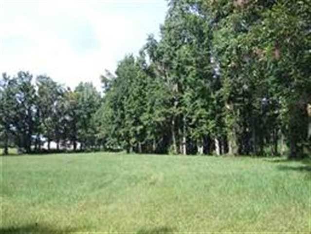 1st image of Tally Hills Dr