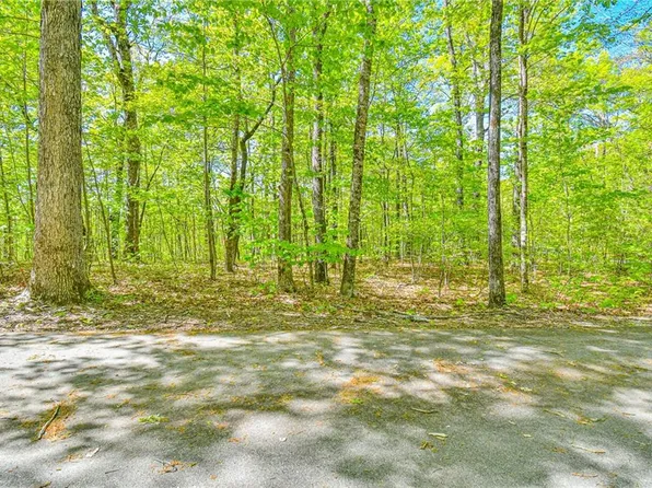 0 Forest Canopy Way, Clayton, GA 30525