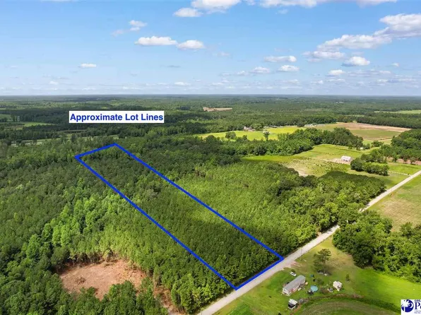 Oneal Rd Lot 3, Loris, SC 29569