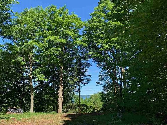 2nd image of 15711 Upper Birch Dr Lot 34