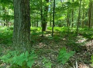 Range Street Lots 31 #32-33, Mears, MI 49436