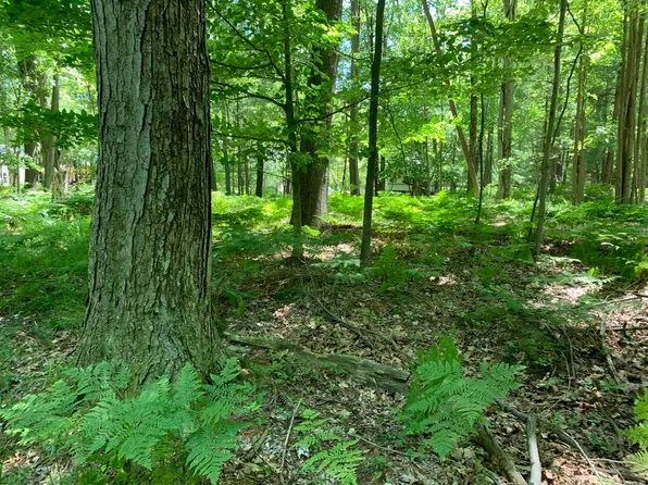 Range Street Lots 31 #32-33, Mears, MI 49436