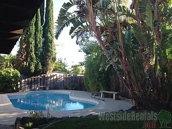 9767 Rhea Ave — Photo 33