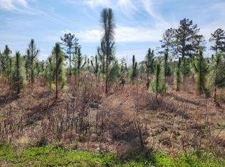 NW Azalea St LOT 4, Bristol, FL 32321